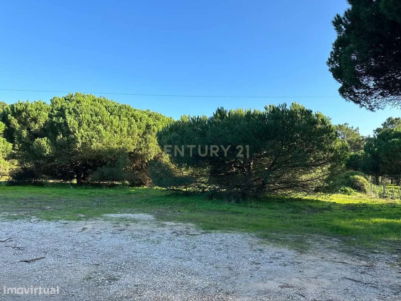 Terreno Rústico de 10.450m² – Aguncheiras, Azóia (Perto da Aldeia do M - Grande imagem: 4/6
