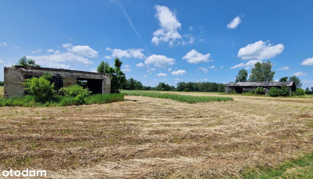26 hektarów gruntów przy drodze wojewódzkiej, media-7