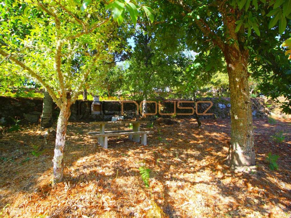 Quinta de 2ha com vista panorâmica - Freigil-17