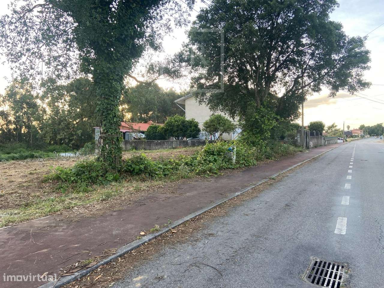 Terreno Rústico  Venda em Sangalhos,Anadia-7