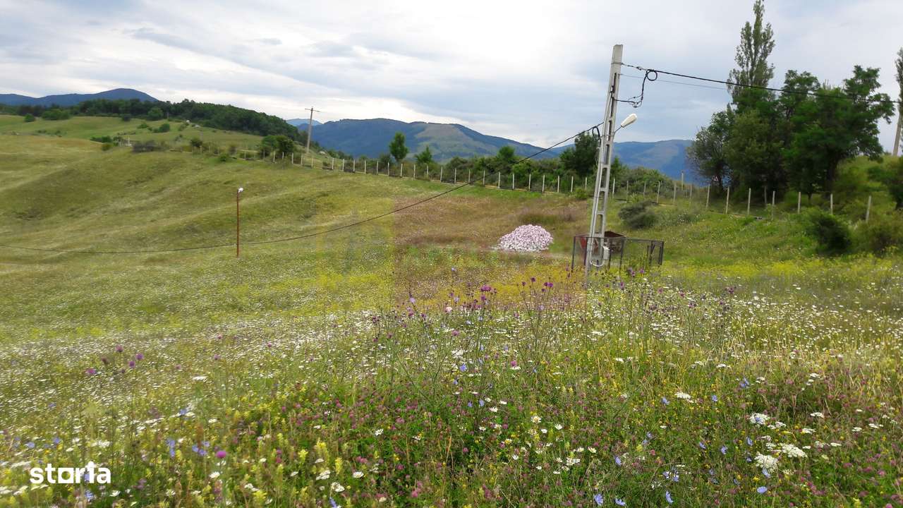 Teren intravilan de vanzare in Breaza (dezvoltare imobiliara) - Imagine principală: 4/10