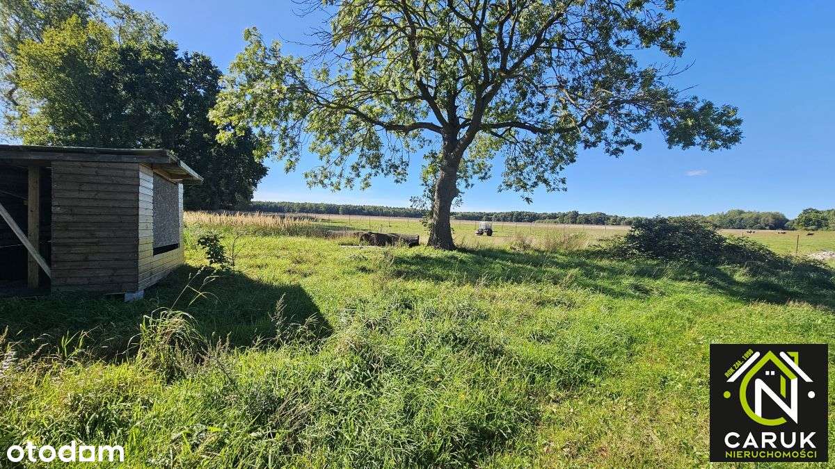 Dom Wolnostojący Na Dużej Działce Do Remontu-7