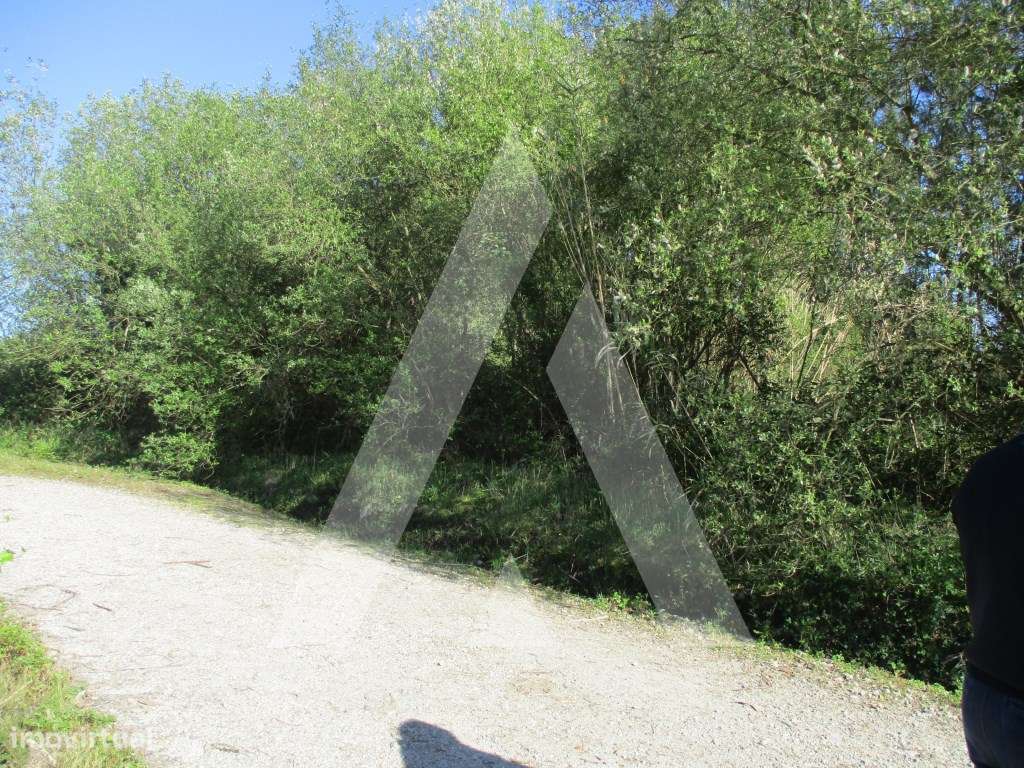 Terreno em Bustos - Grande imagem: 5/8