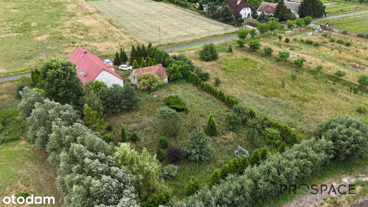 ✨Dom wolnostojący pośród pól, łąk i lasów✨ dz. 40a - Pełny obrazek: 4/20