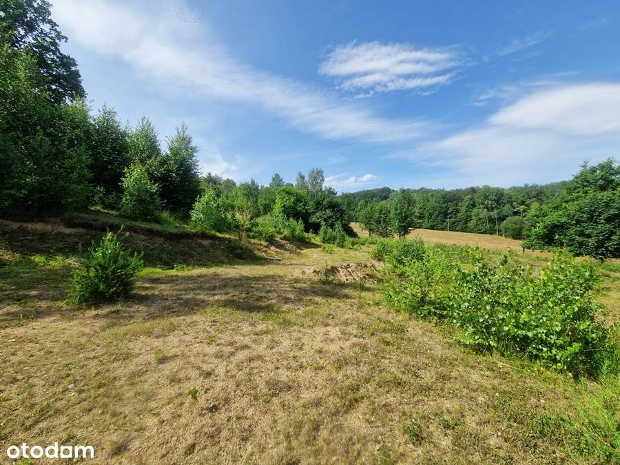 Działki w Przesiece-11