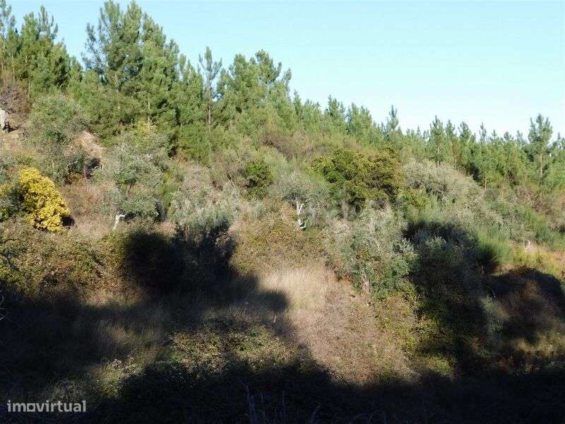 Terreno / Covilhã, Aldeia de São Francisco de Assis - Grande imagem: 5/10