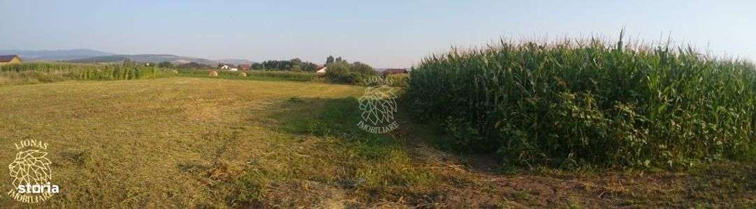 Teren 5500 mp-oportunitate investitie-pretabil cabana-Jelna - Imagine principală: 4/5