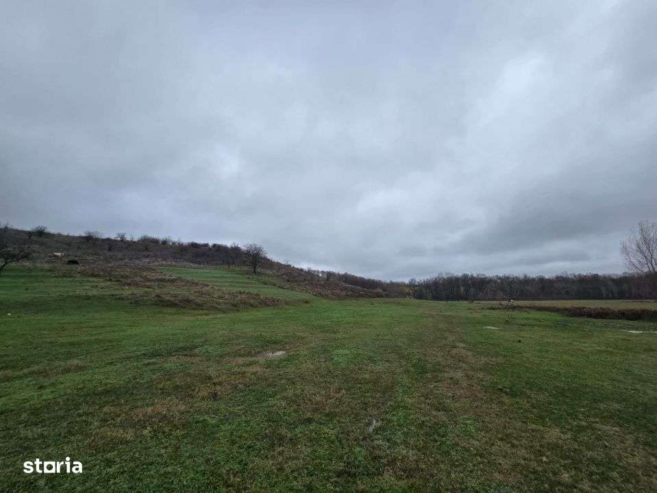 Teren  100.000 mp, Recea-Albota-1