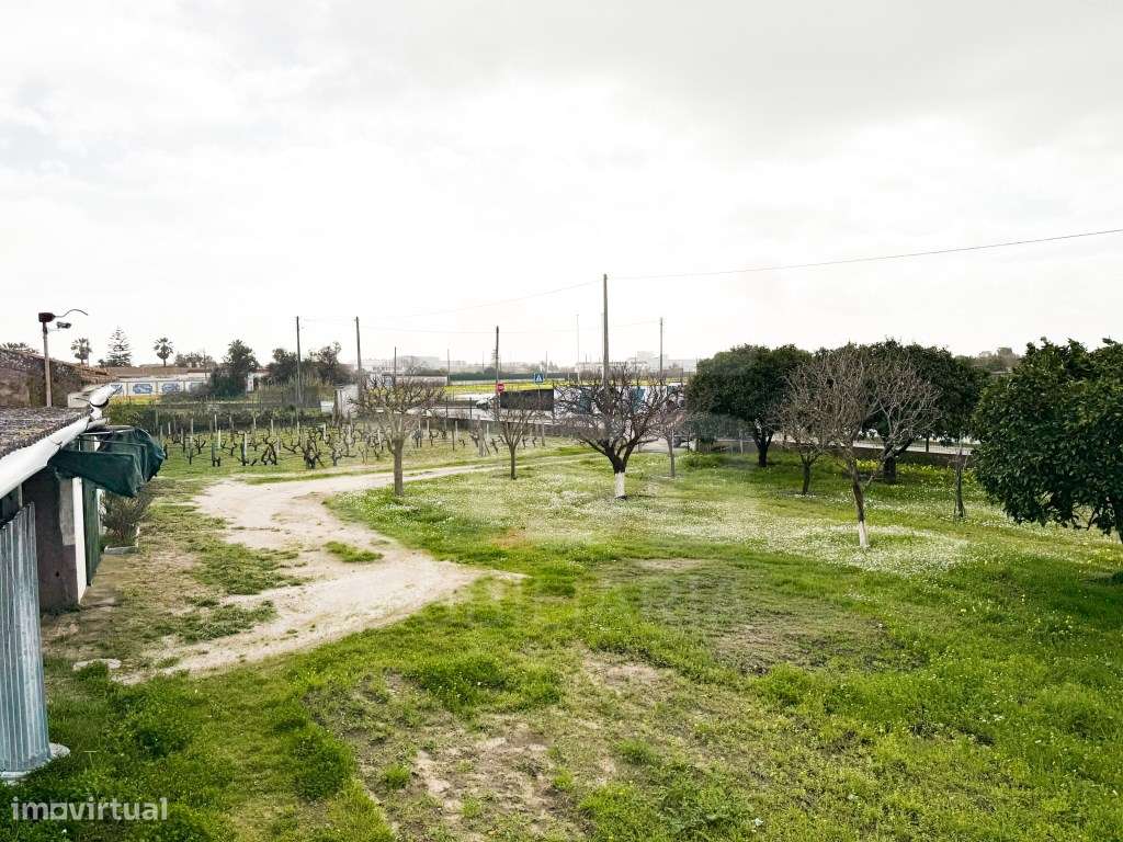 Terreno em Benavente-17