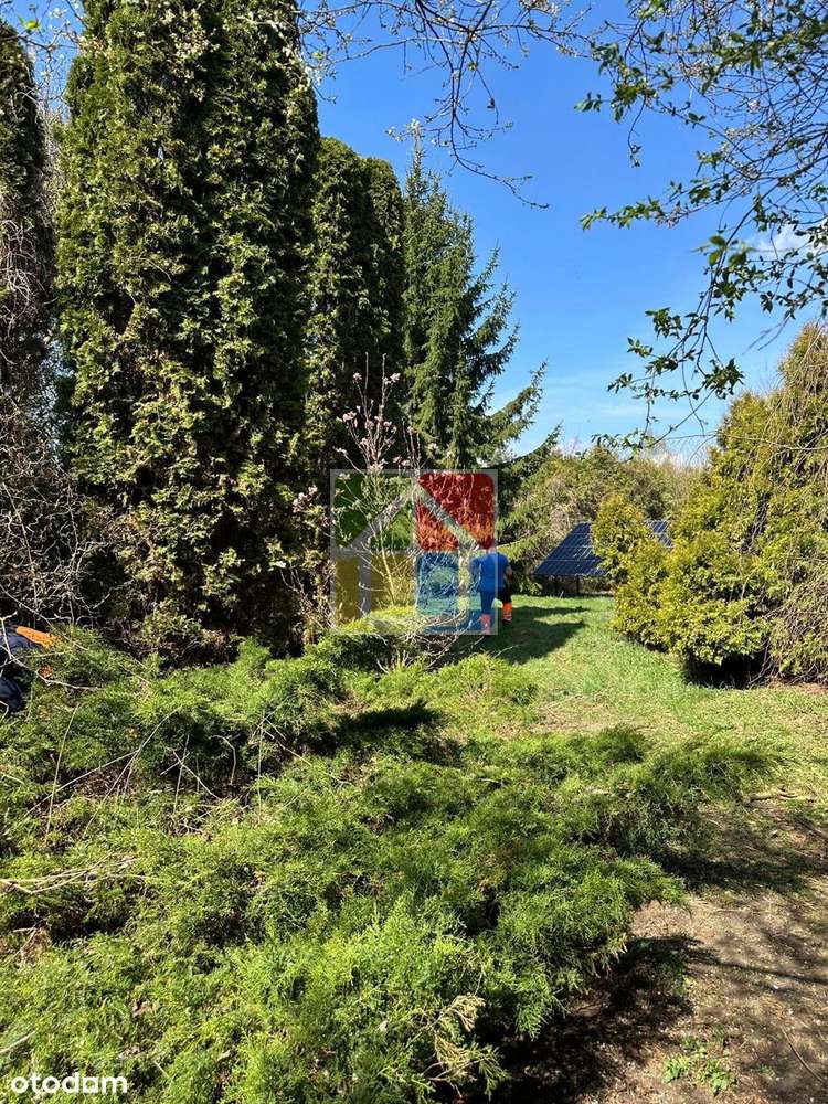 Dom z duszą pod Gostyninem - Bierzewice-18