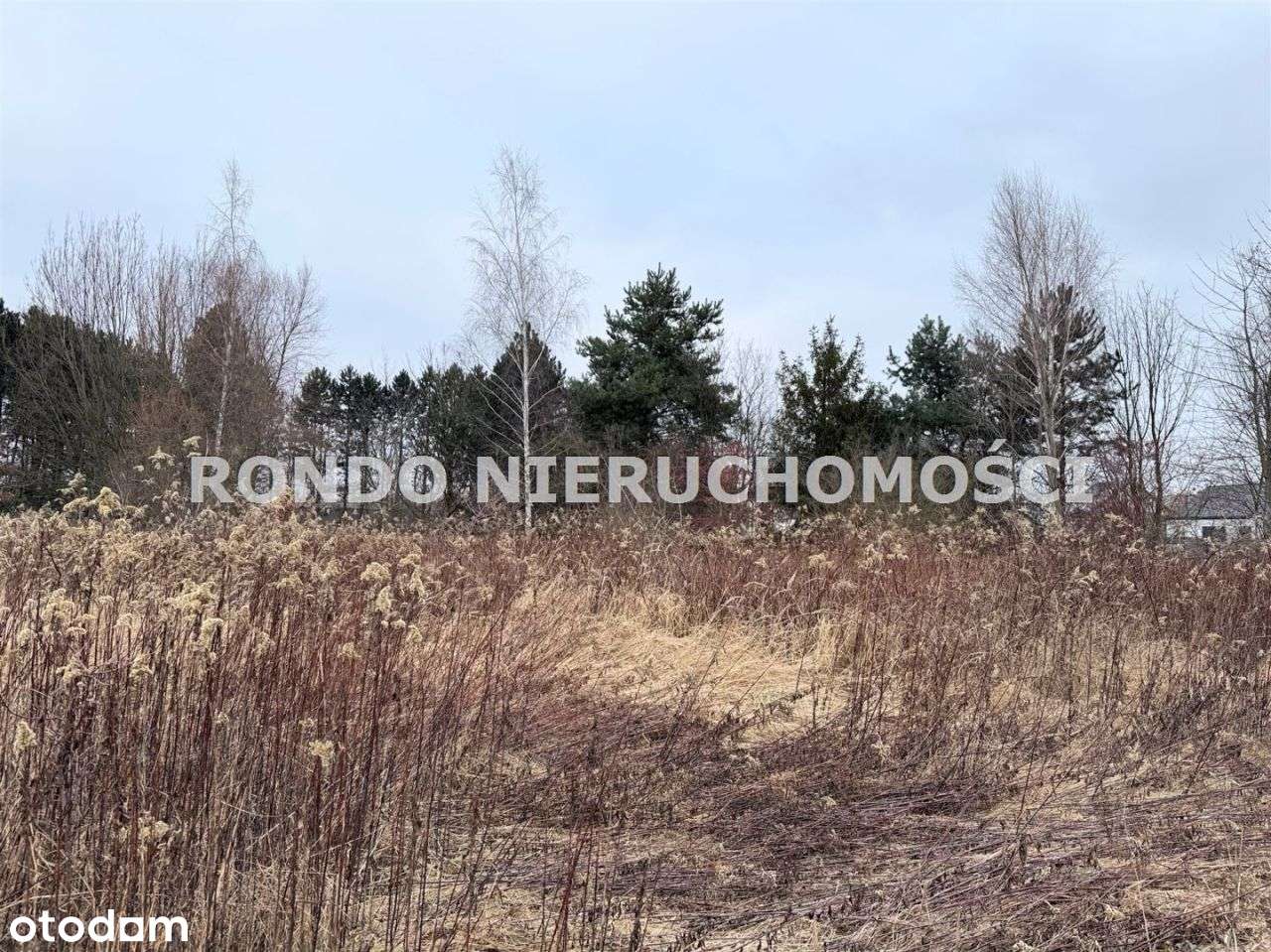 *budowlana*660m2*Brochów*super połozona* - Pełny obrazek: 3/6