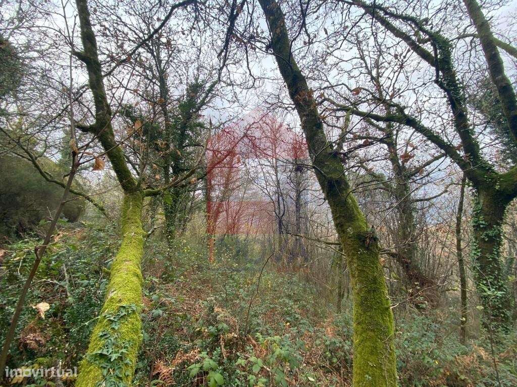 2 Terrenos para venda, Cuide de Vila Verde - Grande imagem: 2/20