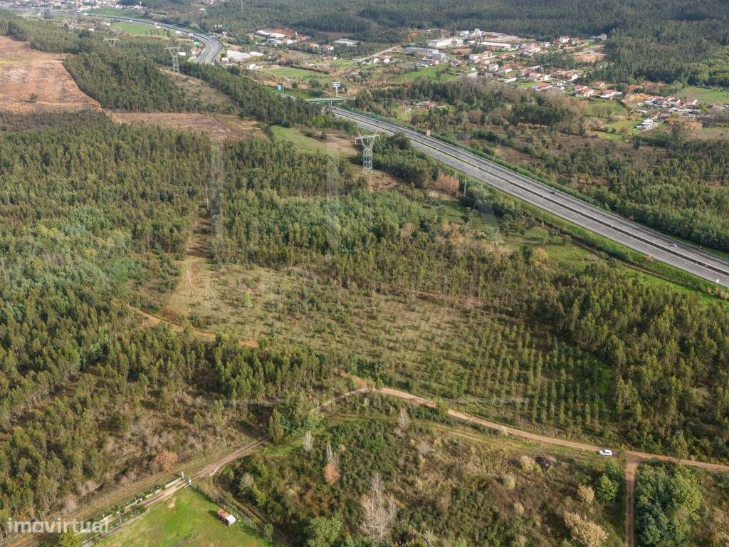 Terreno | Quinta do Acipreste, Antanhol - Grande imagem: 5/19