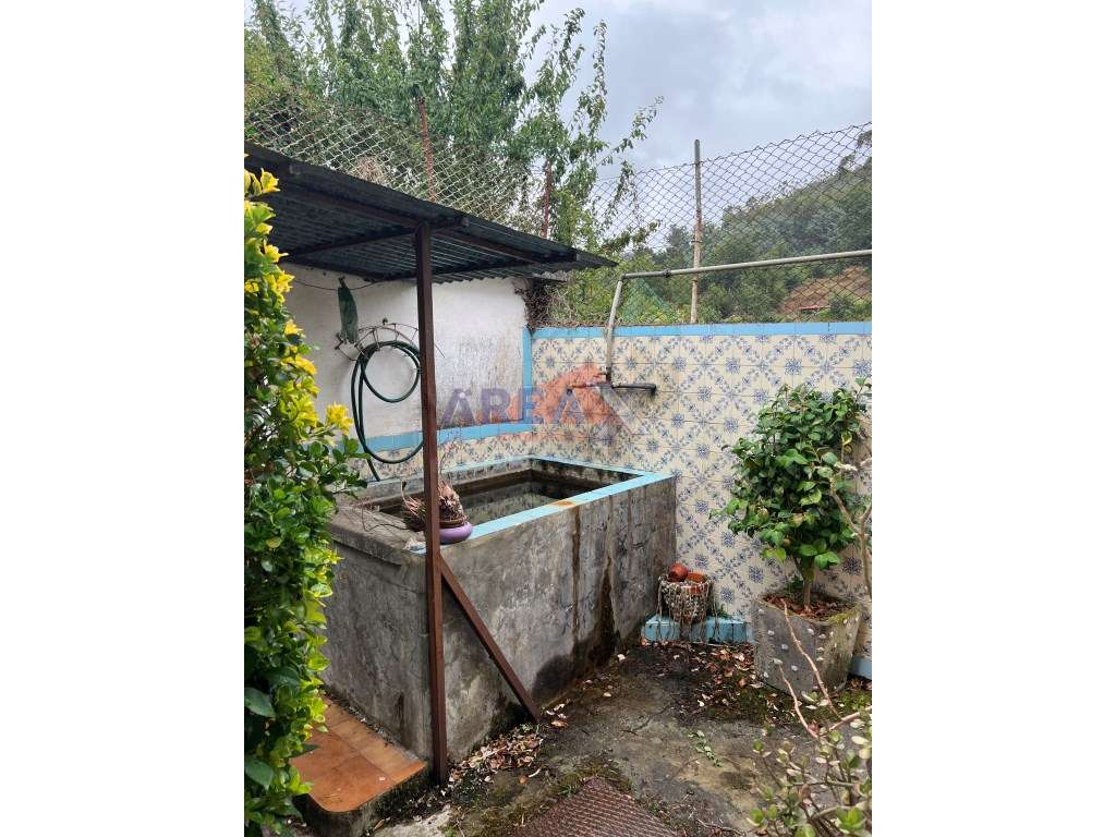 Oportunidade: 2 casas + artigo rústico com 2,0648 ha, perto de Oliv...-41