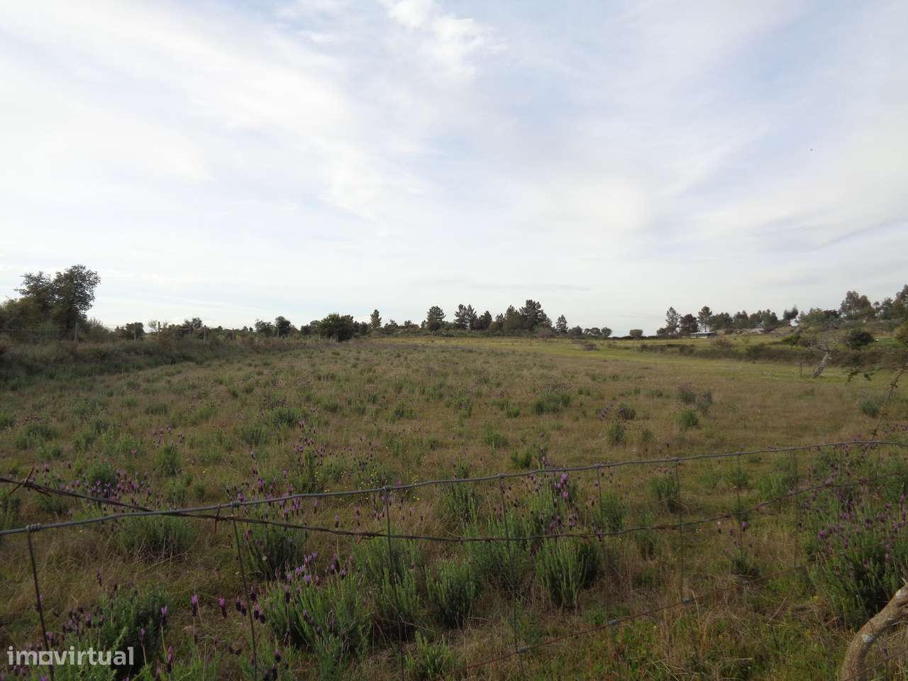 Terreno em Idanha-a-Nova, São Miguel de Acha-5