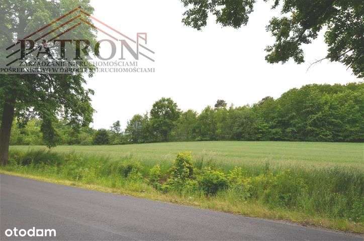 Działka budowlana w malowniczej wsi Włodzice Małe.-8