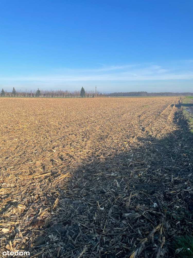 Atrakcyjna działka budowlana-3