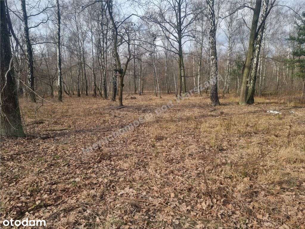 Działka Budowlana W Kobyłce 150 M Od Głównej Drogi-10