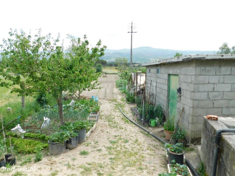 Terreno Rústico / Seia, Pinhanços