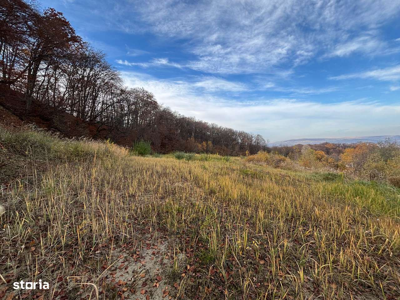 Teren str Dianei/Faget - Imagine principală: 3/4