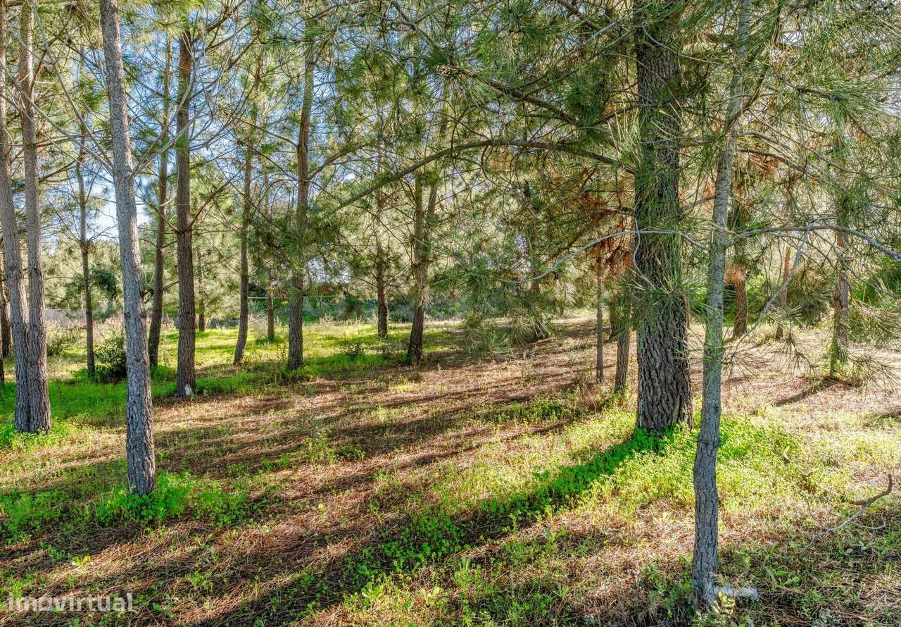 Terreno Urbano para Construção, Santo António da Charneca, Barreiro-10