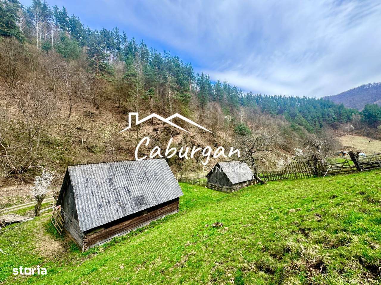 Teren intravilan + faneata, ideal pentru investitie - Rau Sadului-9