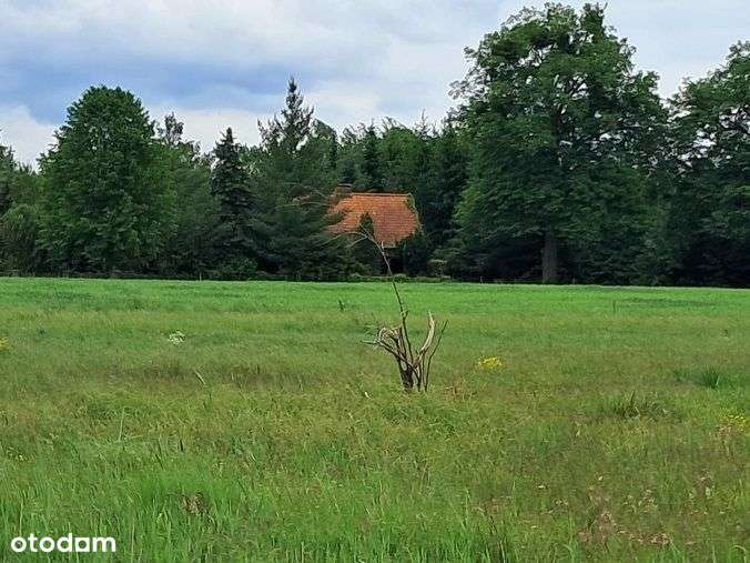 Działka, 10 400 m², Dąg-1