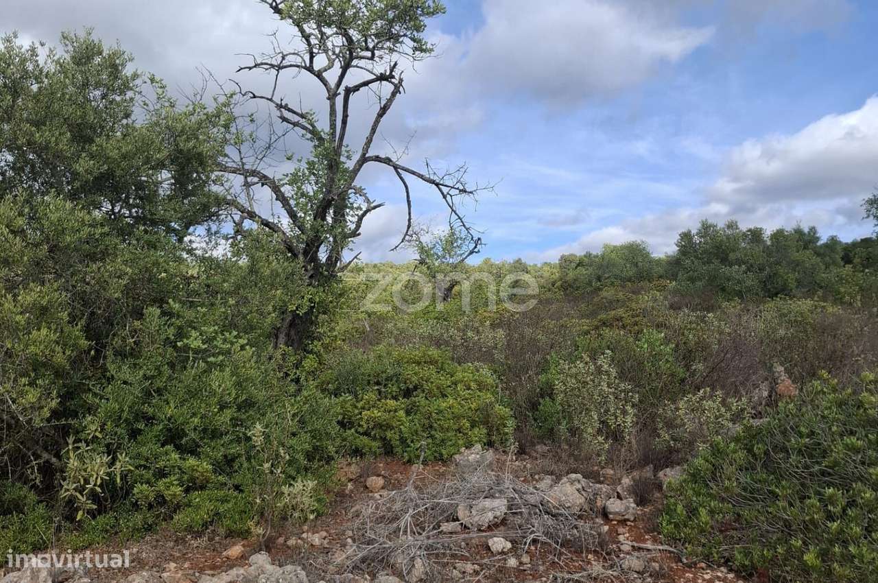Terreno Rústico em Monte Brito com 18.390m2 - Grande imagem: 5/17