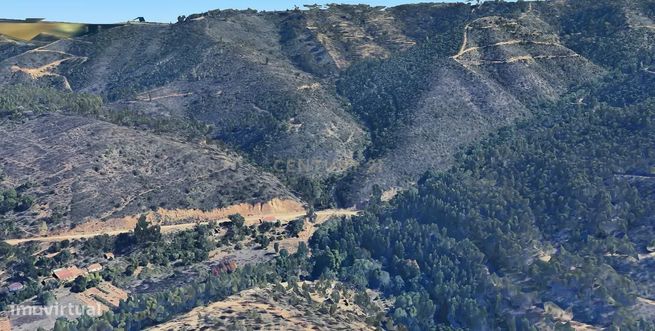 Terreno de Medronheiros para Venda na Serra de Monchique – O seu futur-8