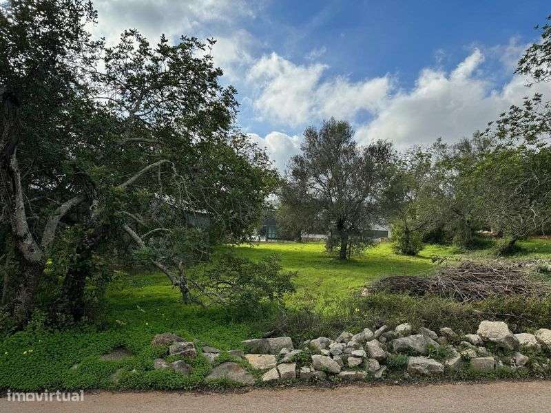 Belo terreno urbano de 2432m2 para construir até 4 moradias - Grande imagem: 4/9