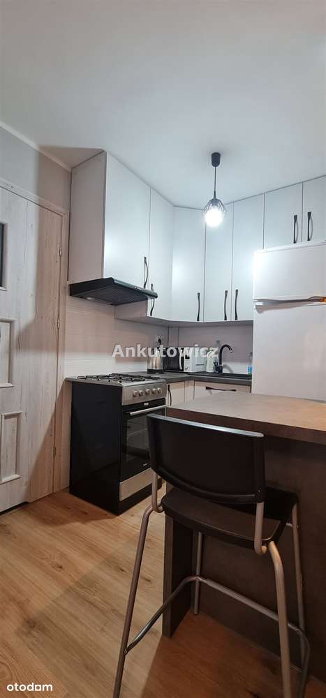 Od 15.01.2026 r. 2 pokoje, parter - Pełny obrazek: 4/8