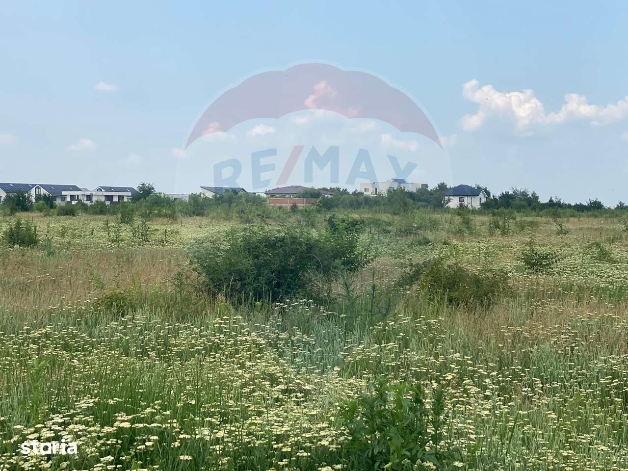 DE VANZARE Teren intravilan 600mp Drumul Piscul Mosului SISESTI-18