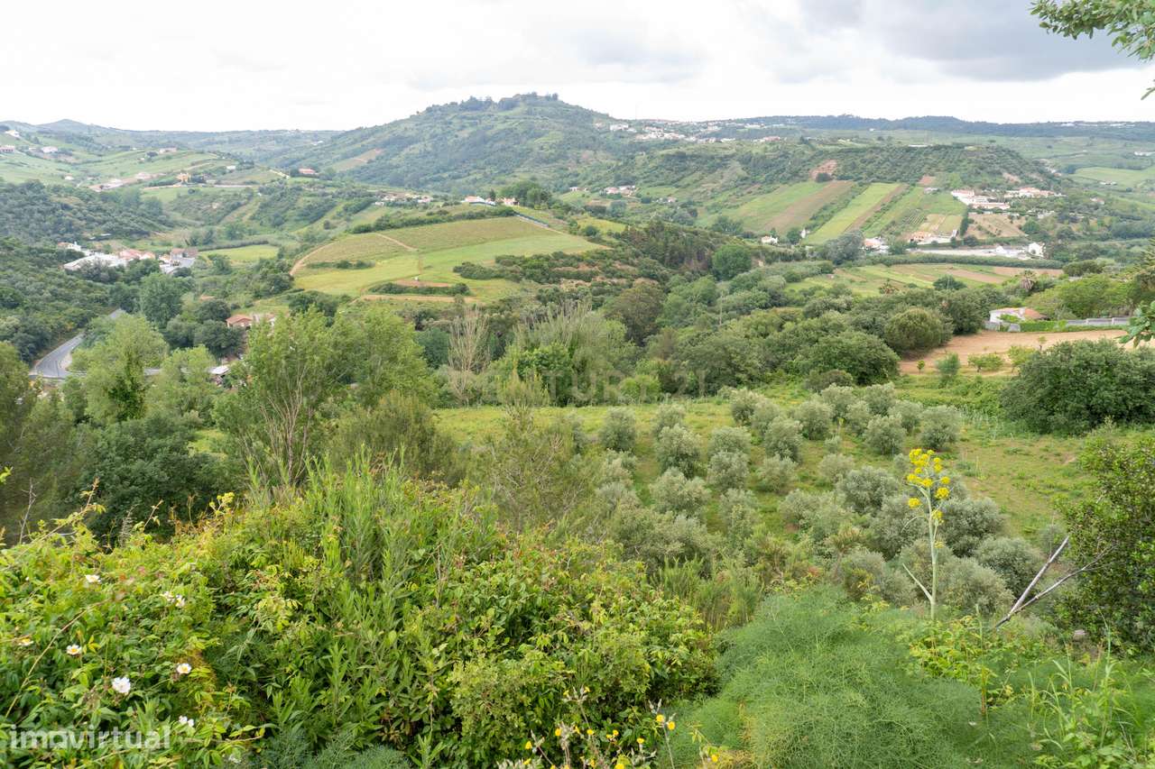 Quintinha em Alenquer com Excelente Potencial – 5,8 Hectares-26