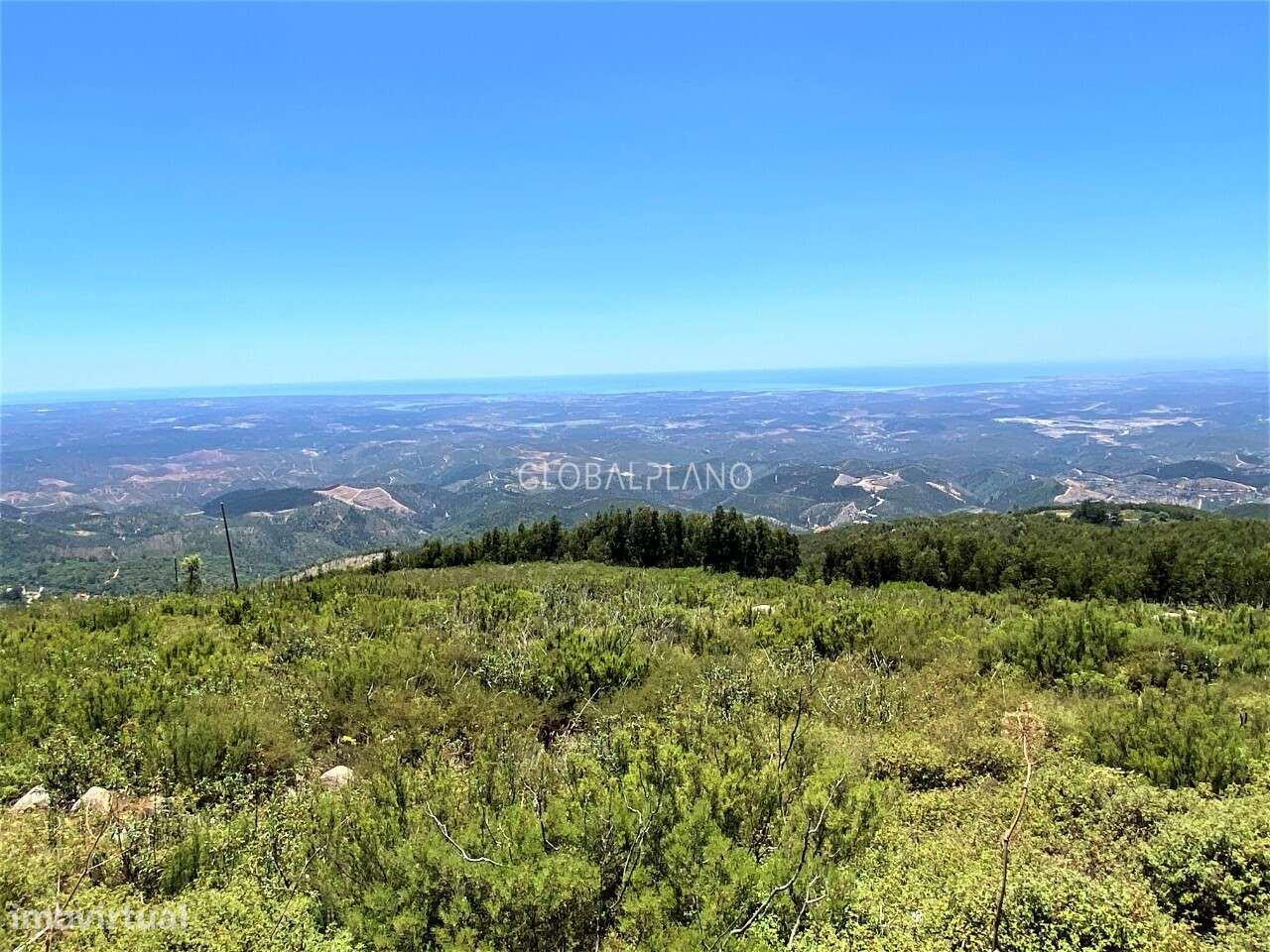 Terreno com viabilidade de construção, Foia, Monchique - Grande imagem: 3/4