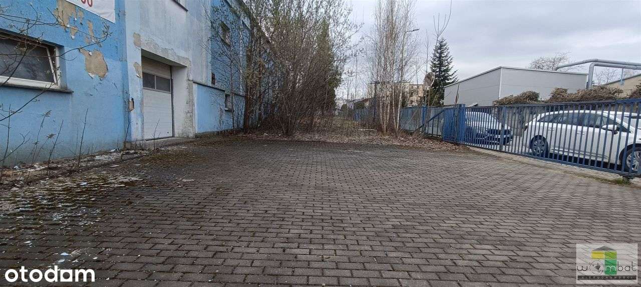 Hala/Magazyn, 1 152 m², Strzegom - Pełny obrazek: 5/12