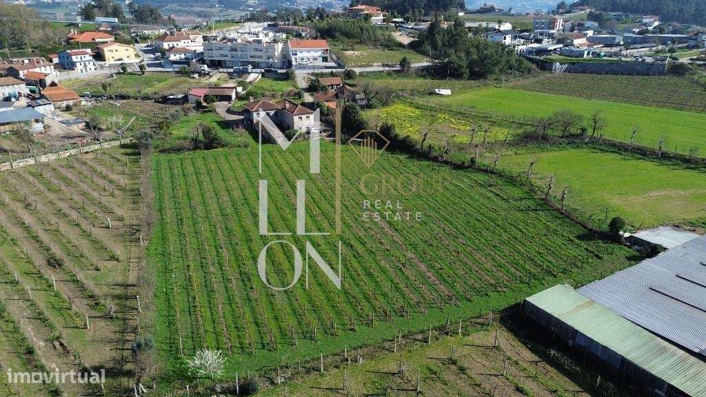 Quinta do Loureiro: Uma Casa Solar Histórica e Elegante em Lousada-42