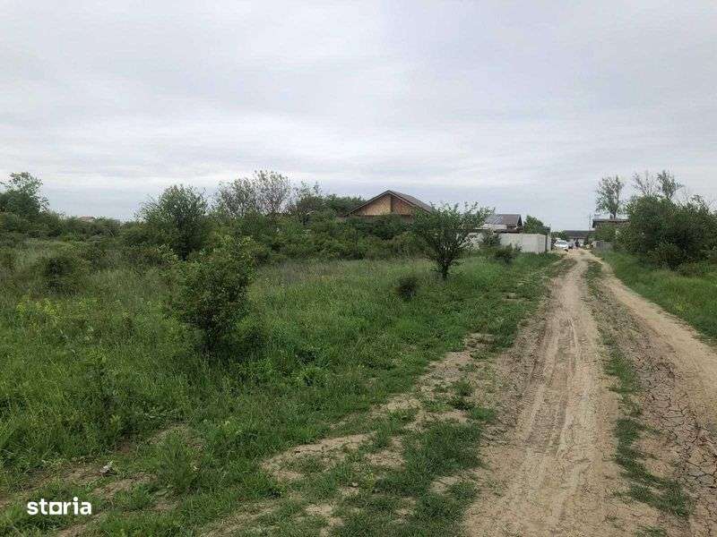 Vand teren in Teghes, Domnesti, Ilfov - Imagine principală: 4/4