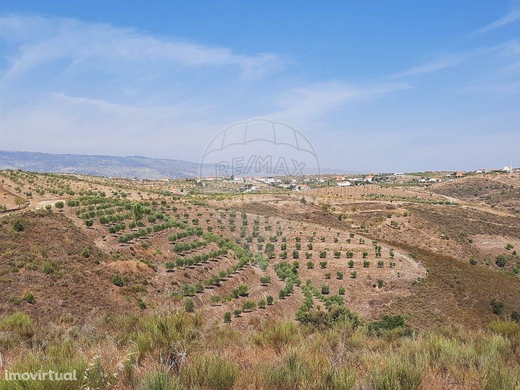 Terreno  para venda