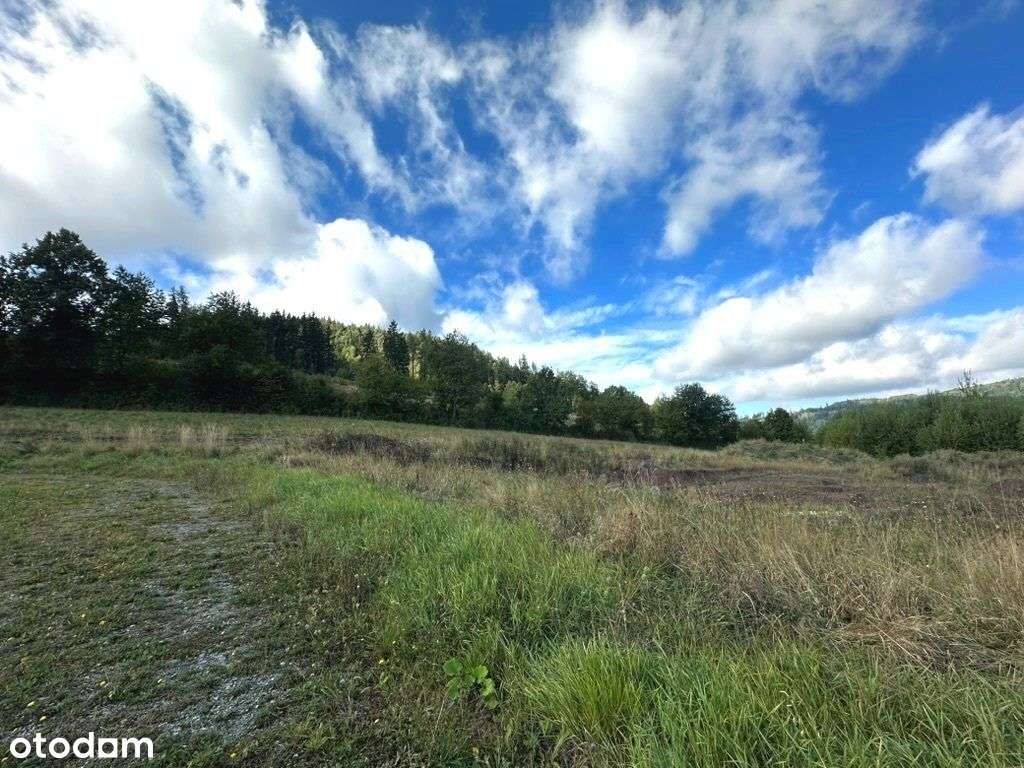 Budowlana działka widokowa na Zagórzu-3