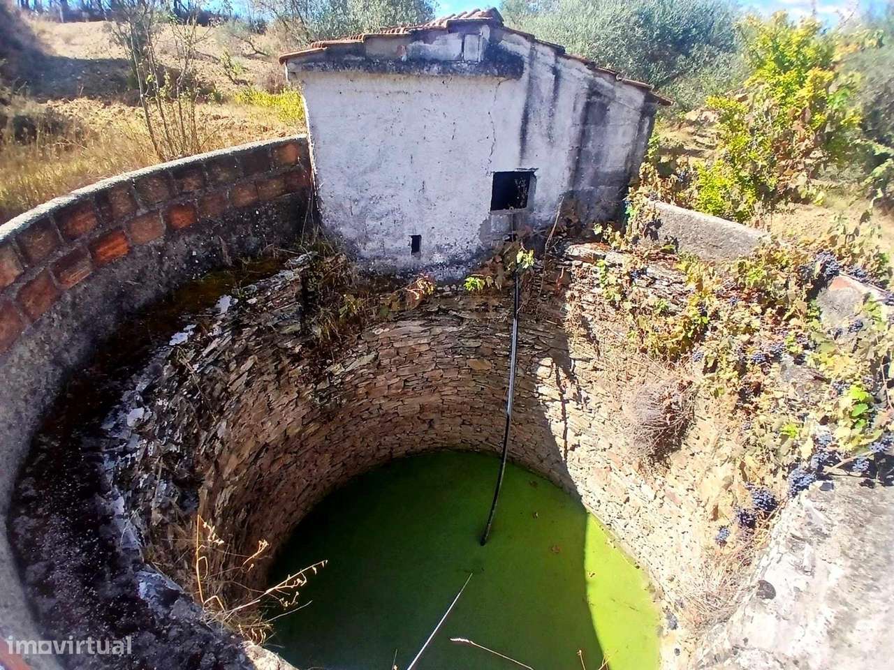 Quinta-2