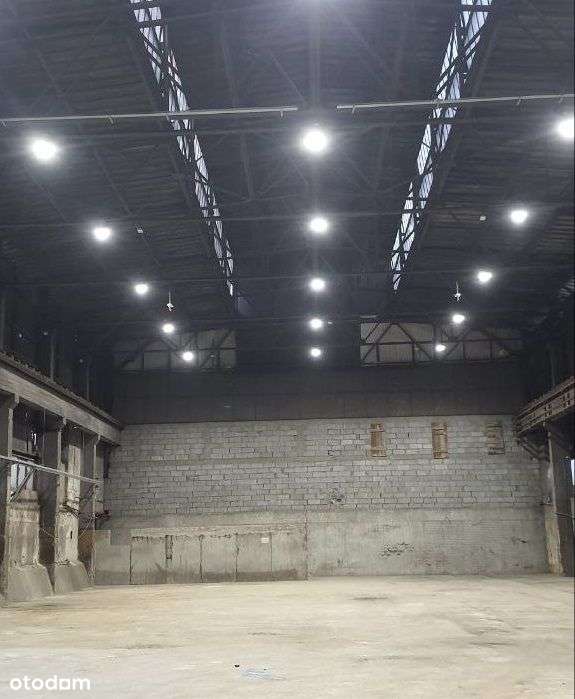 Wynajmę halę magazynowo-produkcyjną 500 do 2000m2 - Pełny obrazek: 2/6