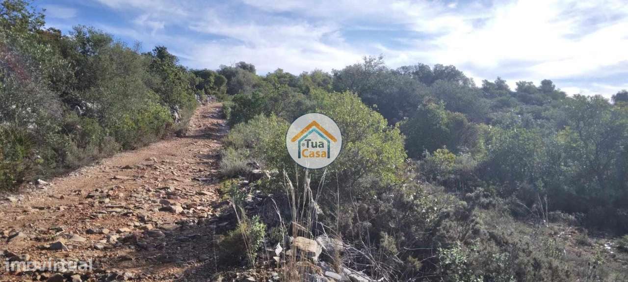 Terreno Rústico com Viabilidade de Construção nos Machados - Grande imagem: 3/26