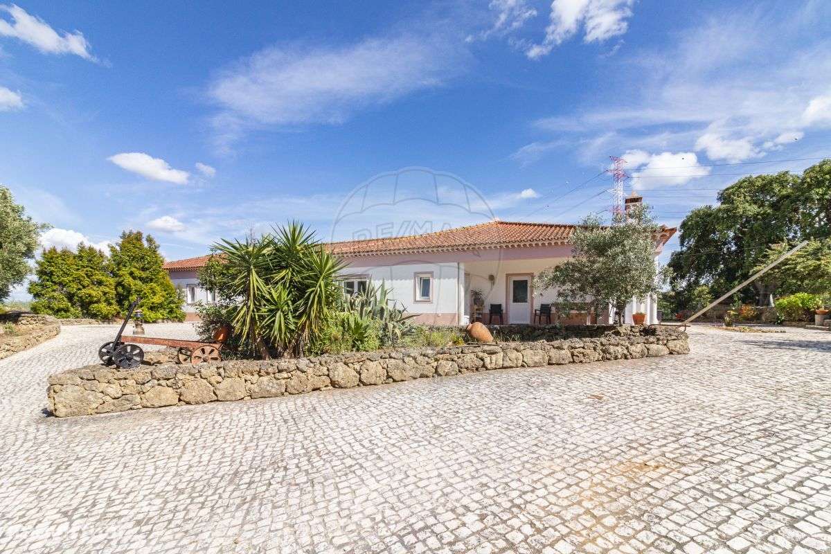 Quinta T5 para venda - Grande imagem: 3/50