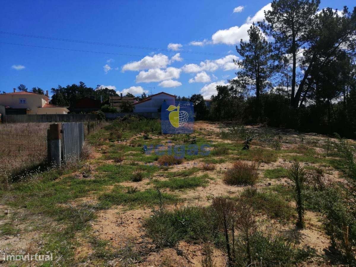 Terreno  sito em  Amor - Grande imagem: 5/11