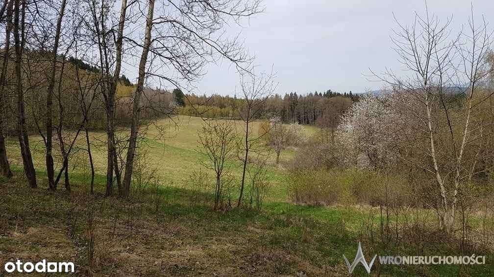 Działka | atrakcyjna | las | piękne widoki - Pełny obrazek: 1/12