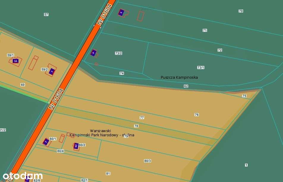 Dom Tuż przy Granicy Kampinosu (kpn)? Tak!-1