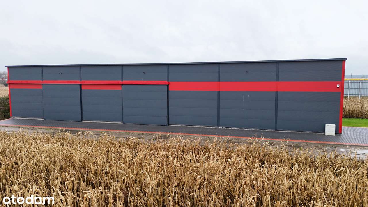 Wynajem hali Skalmierzyce nowoczesny uniwersal. magazynowo-produkcyjny - Pełny obrazek: 4/8