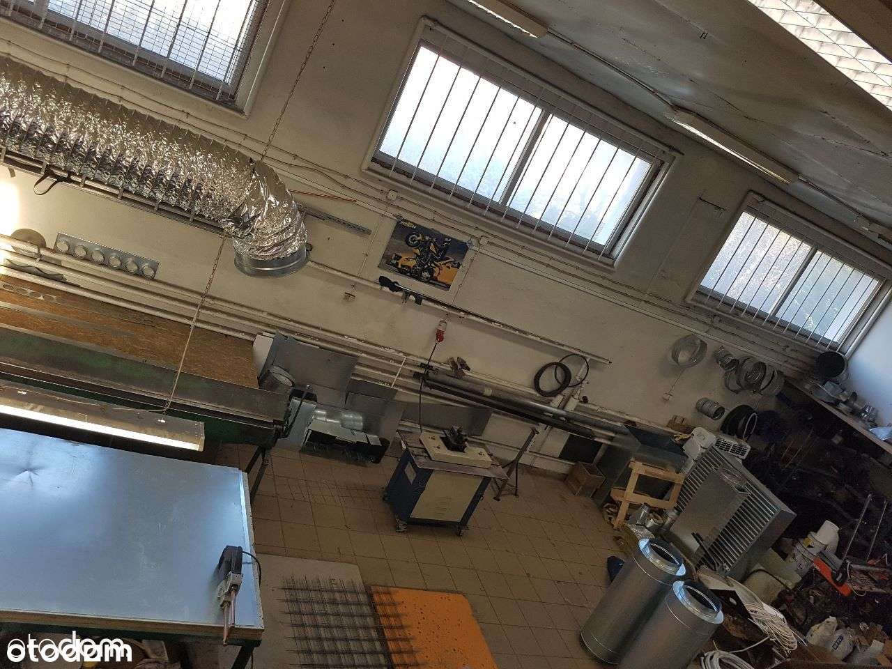 Hala magazynowo-produkcyjna (produkcja żywności ) - Pełny obrazek: 3/6