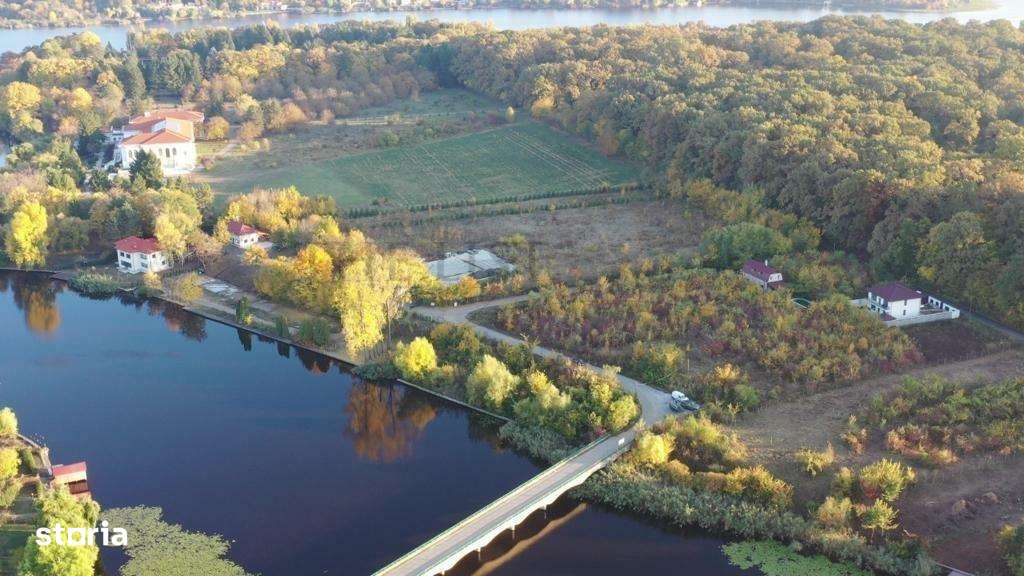 Teren Constructii 5017mp | Intravilan | SNAGOV - Imagine principală: 3/7