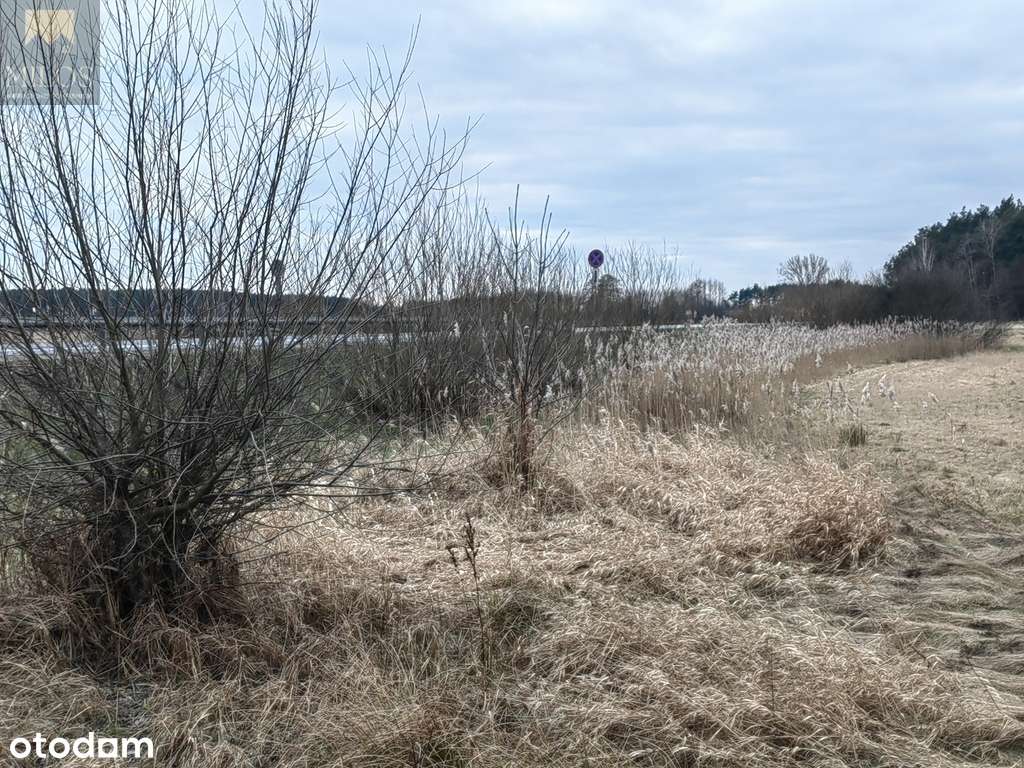 Duża, szeroka działka z WZ. Okazja inwestycyjna!-6